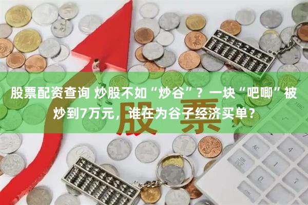 股票配资查询 炒股不如“炒谷”？一块“吧唧”被炒到7万元，谁在为谷子经济买单？